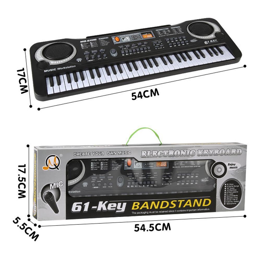 Children's electronic organ with microphone piano